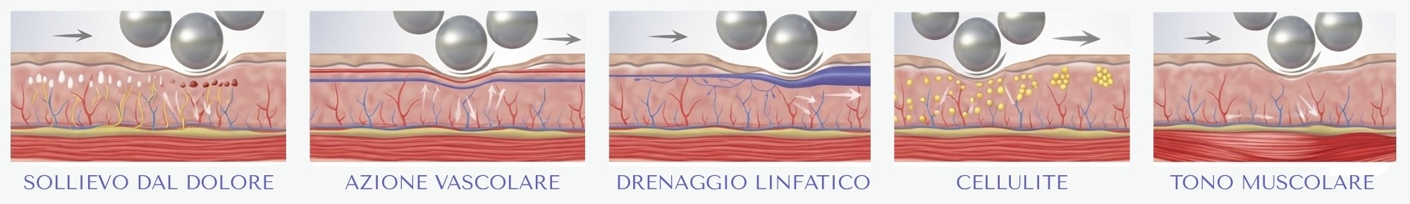 Iconografia Cerbero Risultati